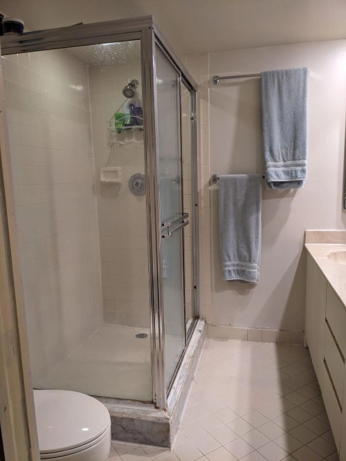 Full bathroom rebuild Before